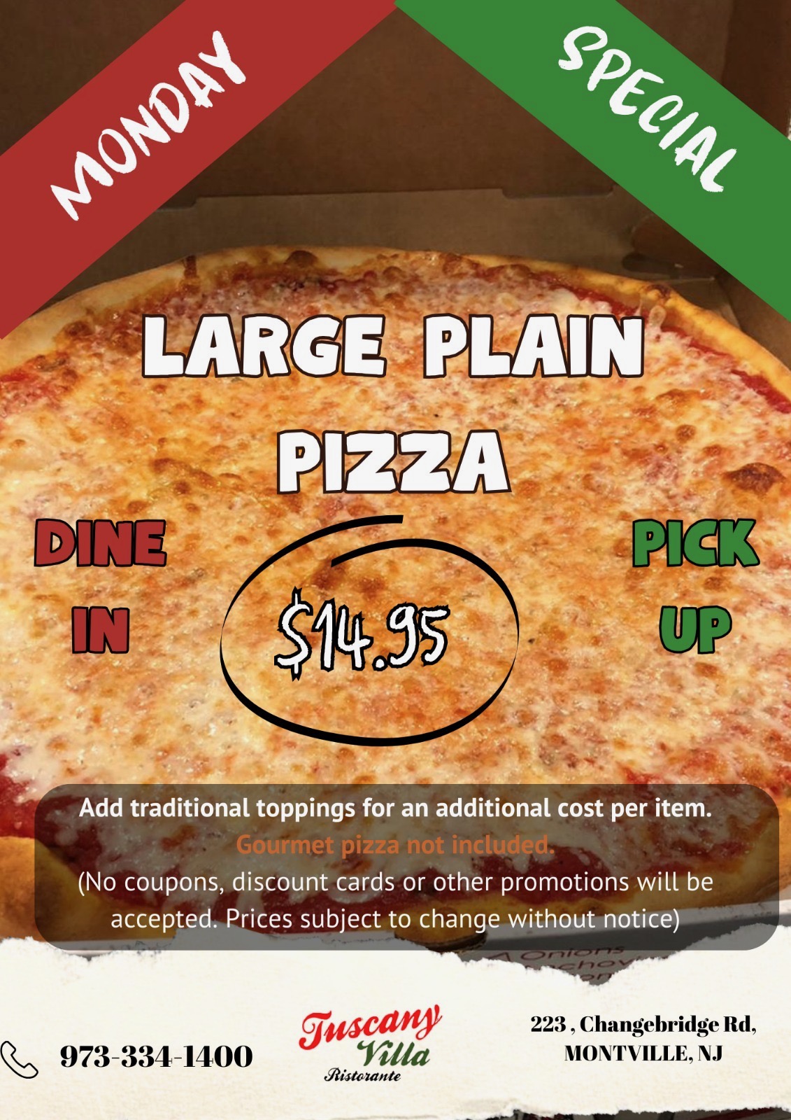 largeplainpizza